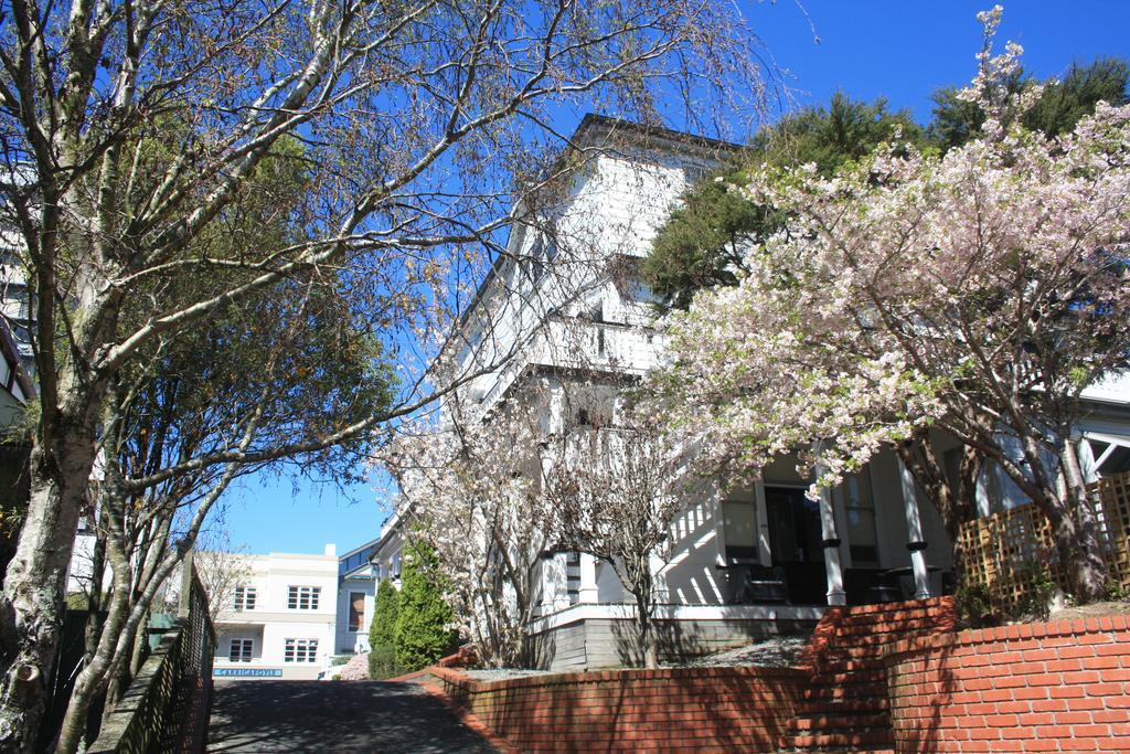 The Terrace Villas Serviced Apartments Wellington Exteriör bild